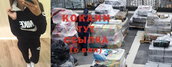 крисы Нея