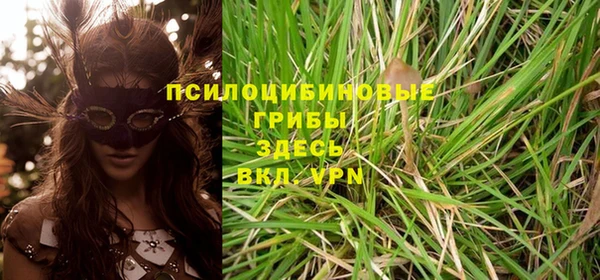 СК Нефтекумск