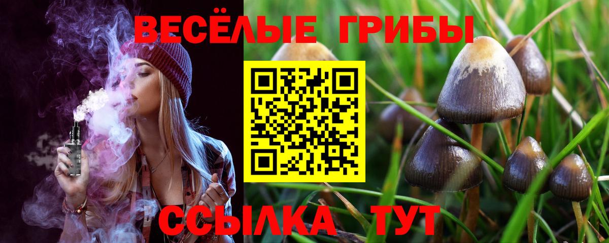 Псилоцибиновые грибы MAGIC MUSHROOMS Североуральск