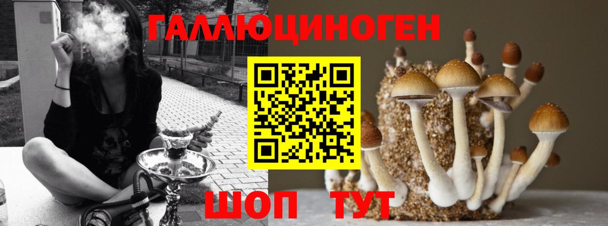 Североуральск  Псилоцибиновые грибы ЛСД  Вход с VPN 