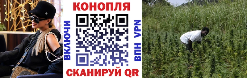 Бошки марихуана планчик  ОМГ ОМГ зеркало  Североуральск 
